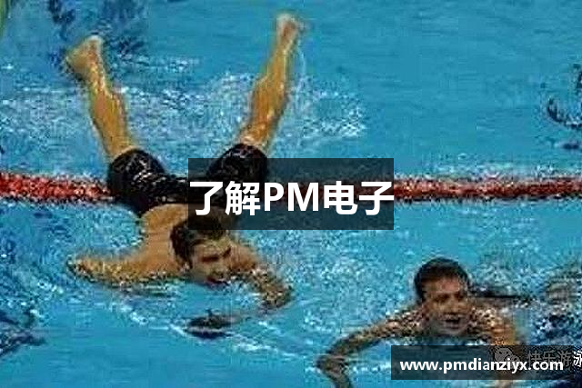 了解PM电子